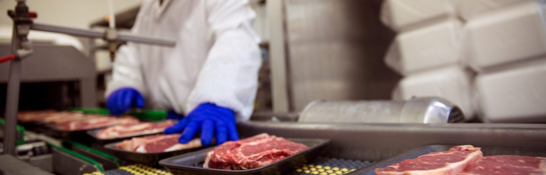 Professional meat processing and product preparation